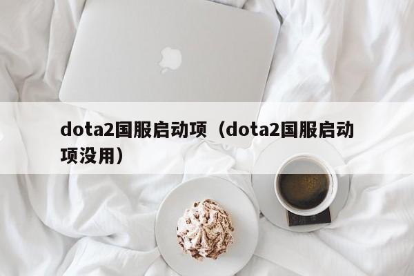 dota2国服启动项（dota2国服启动项没用）