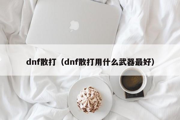 dnf散打（dnf散打用什么武器最好）