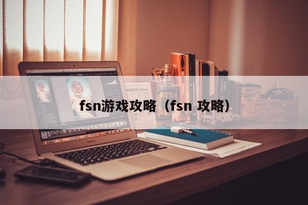 fsn游戏攻略（fsn 攻略）