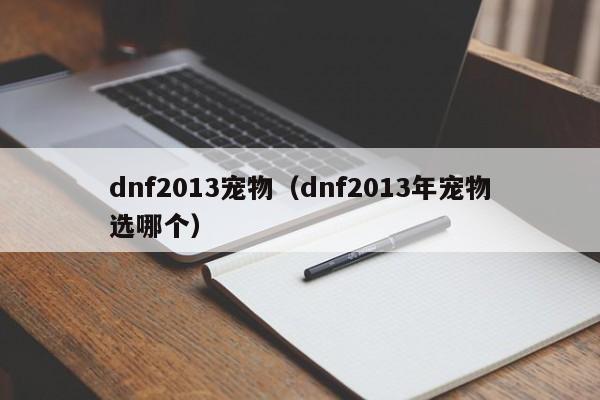 dnf2013宠物（dnf2013年宠物选哪个）