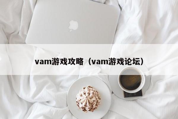 vam游戏攻略（vam游戏论坛）