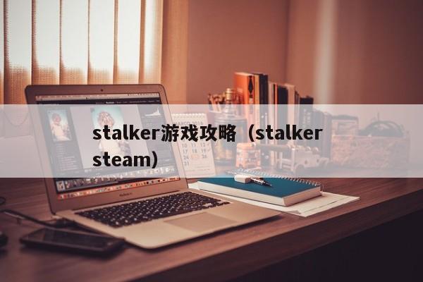 stalker游戏攻略（stalker steam）