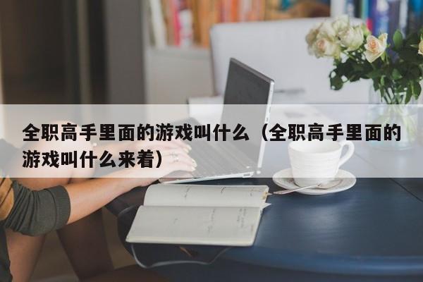 全职高手里面的游戏叫什么（全职高手里面的游戏叫什么来着）