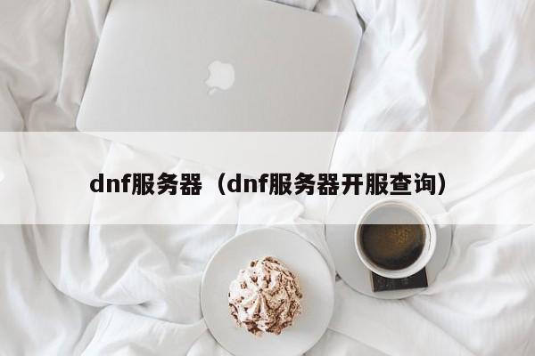 dnf服务器（dnf服务器开服查询）