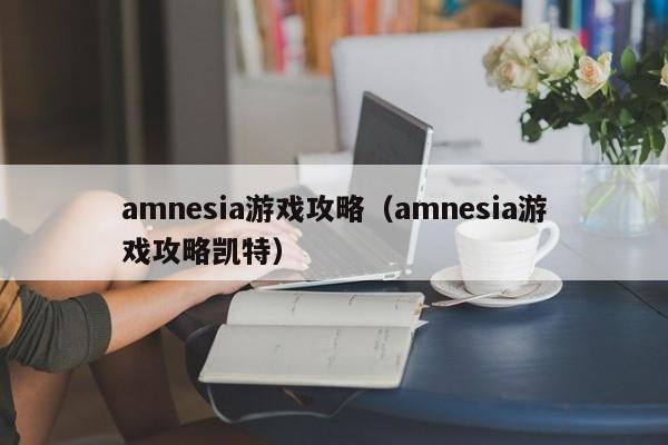 amnesia游戏攻略（amnesia游戏攻略凯特）