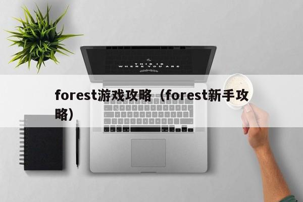 forest游戏攻略（forest新手攻略）