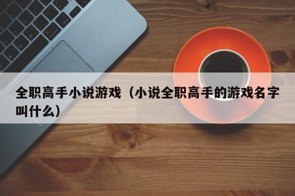 全职高手小说游戏（小说全职高手的游戏名字叫什么）