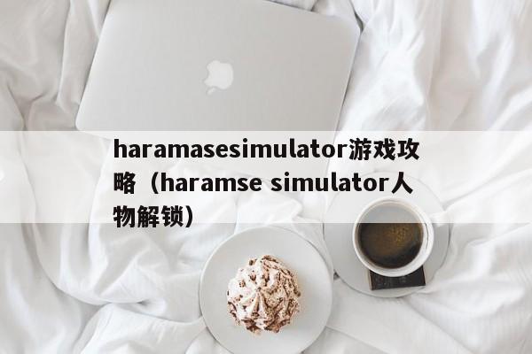 haramasesimulator游戏攻略（haramse simulator人物解锁）