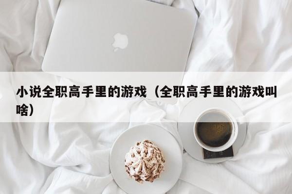 小说全职高手里的游戏（全职高手里的游戏叫啥）