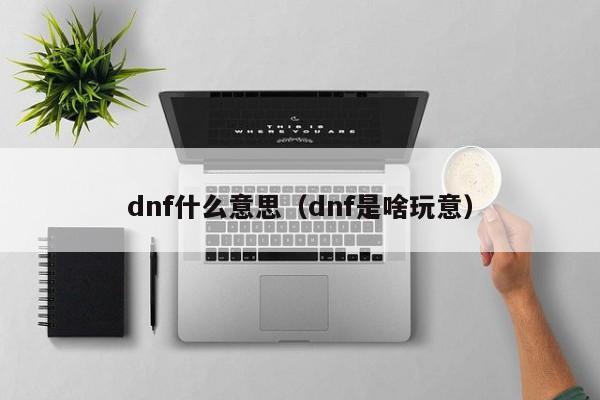 dnf什么意思（dnf是啥玩意）