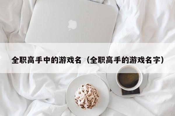 全职高手中的游戏名（全职高手的游戏名字）