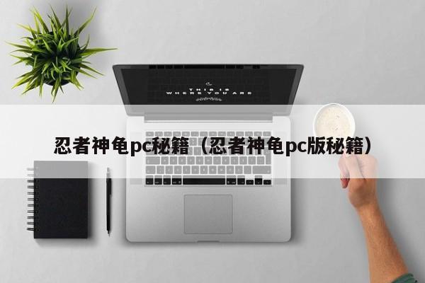 忍者神龟pc秘籍（忍者神龟pc版秘籍）